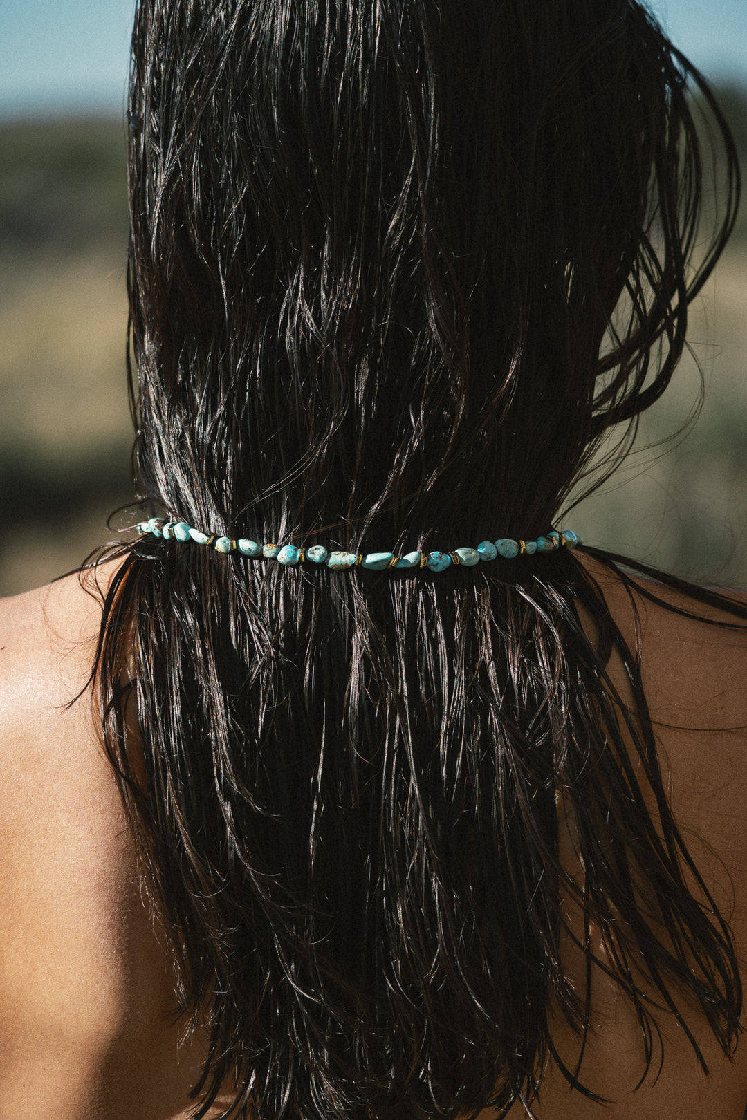 Willard turquoise